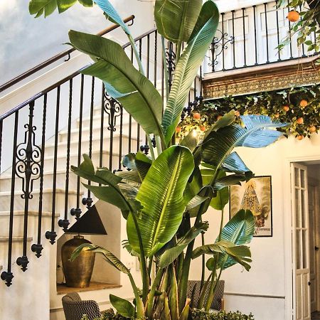 Casa Rural Casa Levante アルコス・デ・ラ・フロンテーラ エクステリア 写真