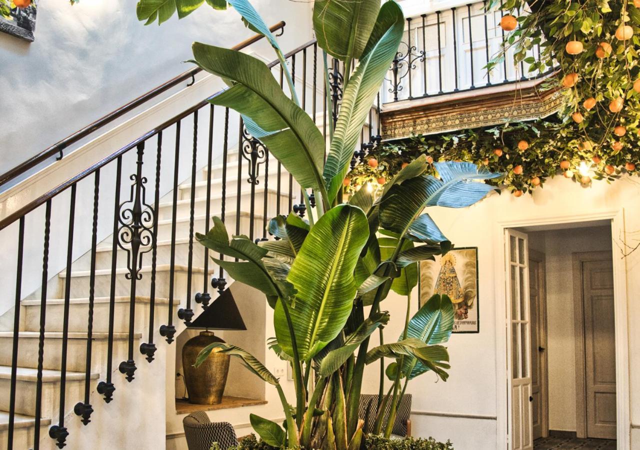 Casa Rural Casa Levante アルコス・デ・ラ・フロンテーラ エクステリア 写真